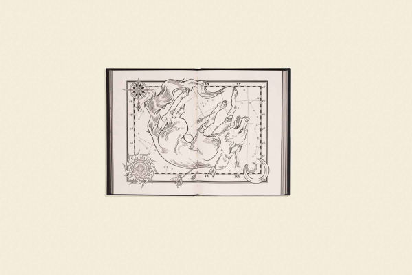 Celestial: A Colorable Zodiac Journal