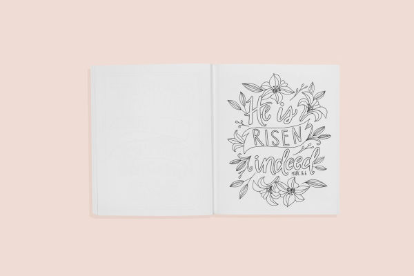 Beauty in the Bible: Adult Coloring Book Volume 3, Premium Edition
