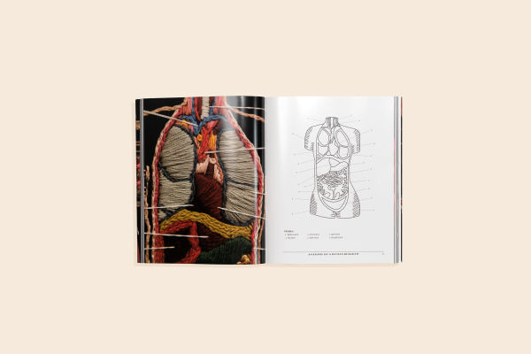 Stitchcraft: An Embroidery Book of Simple Stitches and Peculiar Patterns