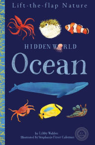 Title: Hidden World: Ocean, Author: Libby Walden