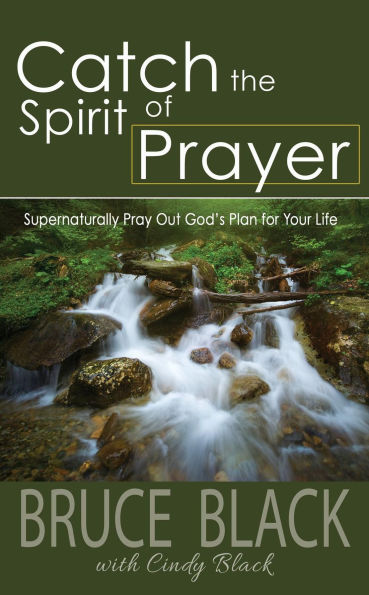 Catch the Spirit of Prayer: Supernaturally Pray Out God's Plan for Your Life
