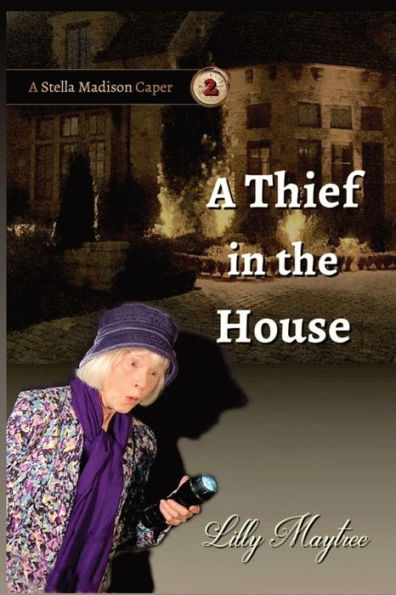 A Thief The House