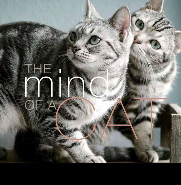 The Mind of a Cat