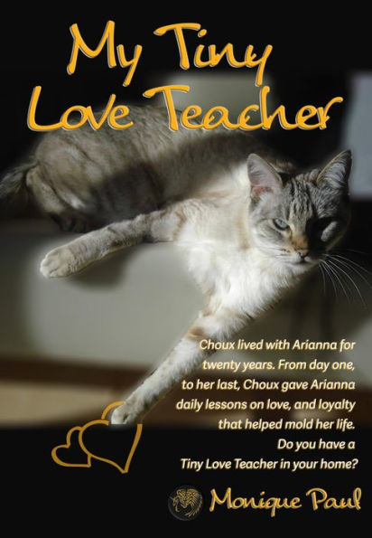 My Tiny Love Teacher: A 19 Years and 11 Months Continuous Class