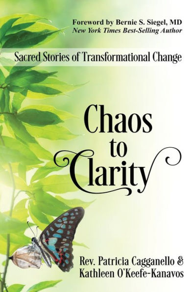 Through these stories of struggle, pain, and ultimately, transformation, the author aims to provide insight and inspiration to those who may be going through their own period of chaos and uncertainty. The stories included in the book cover a wide range of topics, including addiction recovery, healing from trauma, spiritual awakening, and finding purpose and meaning in life.