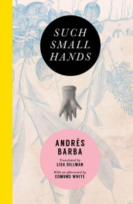 Title: Such Small Hands, Author: Andrés Barba