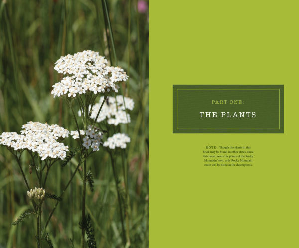 437 Edible Wild Plants of the Rocky Mountain West: Berries, Roots, Nuts, Greens, Flowers, and Seeds