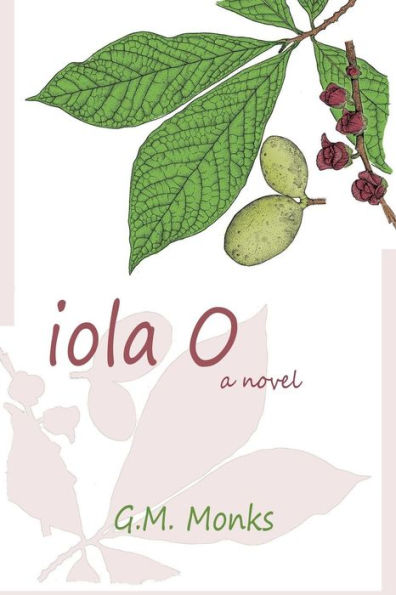Iola O: a novel