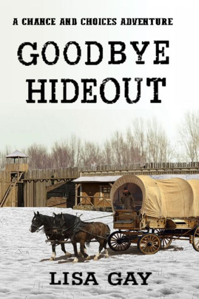 Goodbye Hideout: Large Print