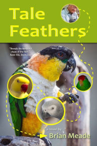 Title: Tale Feathers, Author: Brian Meade