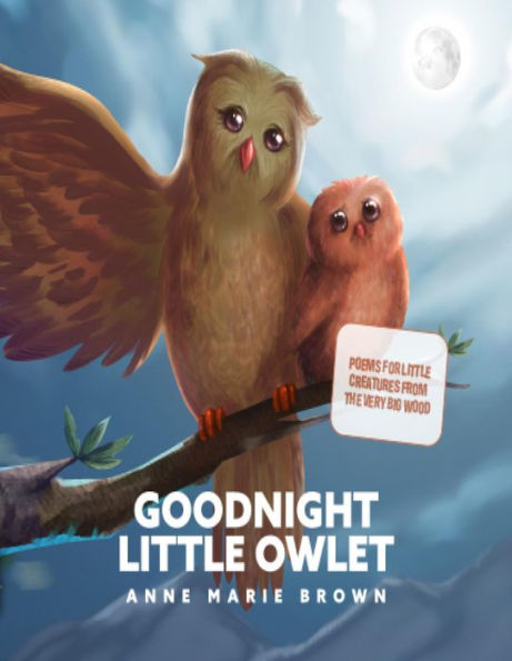 Goodnight Little Owlet