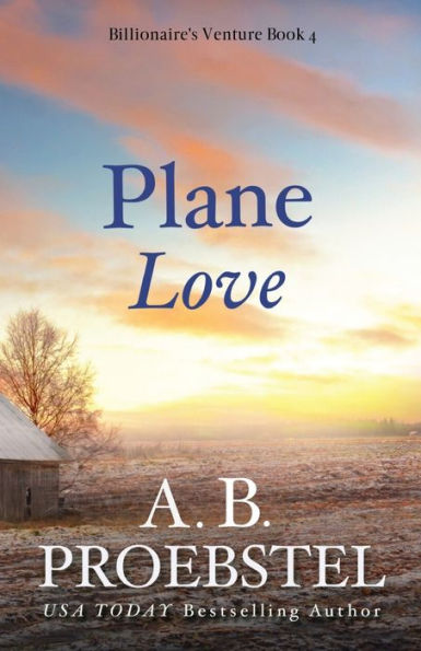 Plane Love: A Christian Romance