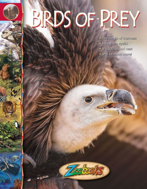 Zoobooks Birdsof Prey by Ltd. WildLife Education | eBook (NOOK Kids ...