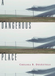 Title: A Dangerous Place, Author: Chelsea B. DesAutels