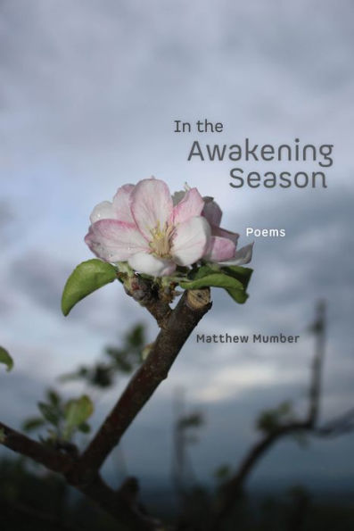 In The Awakening Season