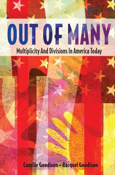 Out of Many: Multiplicity And Divisions In America Today