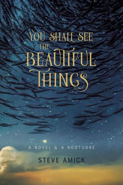 You Shall See the Beautiful Things: A Novel & Nocturne