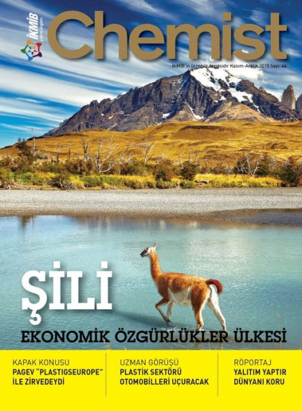 Chemist n.44: Ekonomik Özgürlükler ülkesi: Sili