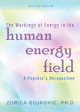 The Workings of Energy in the Human Energy Field: A Psychic's Perspective
