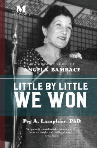 Title: Little by Little We Won: A Novel Based on the Life of Angela Bambace, Author: Peg Lamphier PhD