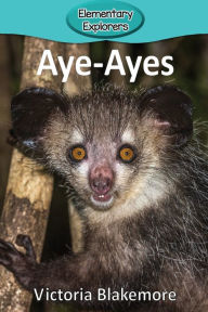 Title: Aye-Ayes, Author: RÃkkurr