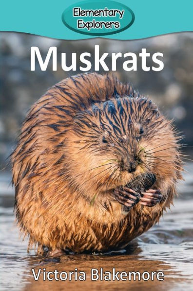 Muskrats