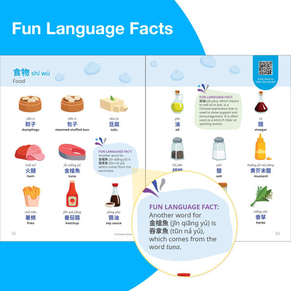 Rosetta Stone Mandarin Chinese Picture Dictionary (Traditional)