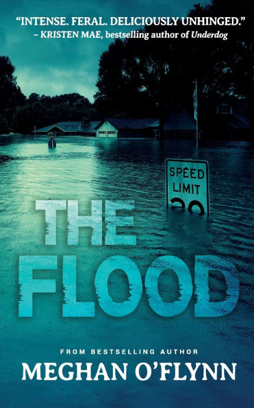 The Flood: An Intense Psychological Crime Thriller