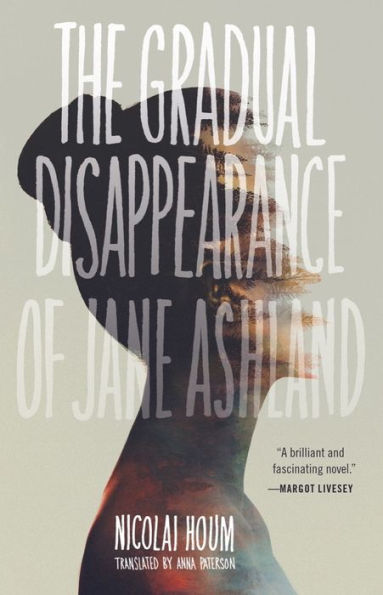 The Gradual Disappearance of Jane Ashland