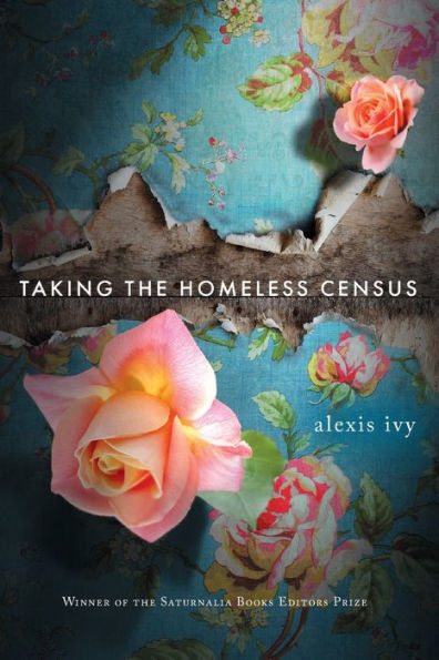 Taking the Homeless Census