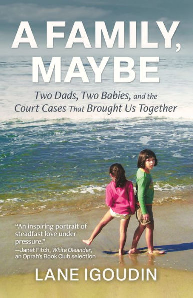 A Family, Maybe: Two Dads, Babies, and the Court Cases That Brought Us Together