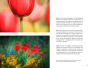 Alternative view 5 of Parallel Perspectives: The Brush/ Lens Collaboration