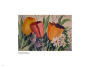 Alternative view 8 of Parallel Perspectives: The Brush/ Lens Collaboration