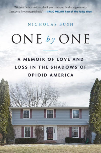 One by One: A Memoir of Love and Loss the Shadows Opioid America