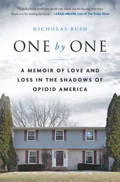 One by One: A Memoir of Love and Loss in the Shadows of Opioid America