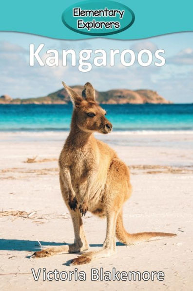 Kangaroos