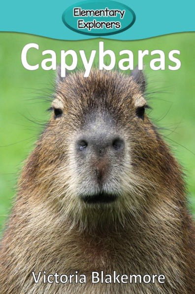 Capybaras