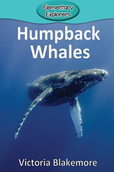 Humpback Whales