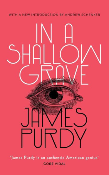 In a Shallow Grave (Valancourt 20th Century Classics)