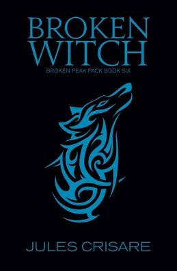Broken Witch: A Silver Sentinel Wolf Shifter Romance