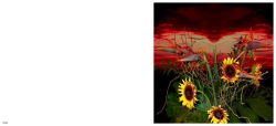 Alternative view 6 of Lucas Samaras: Flowers