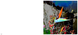 Alternative view 9 of Lucas Samaras: Flowers