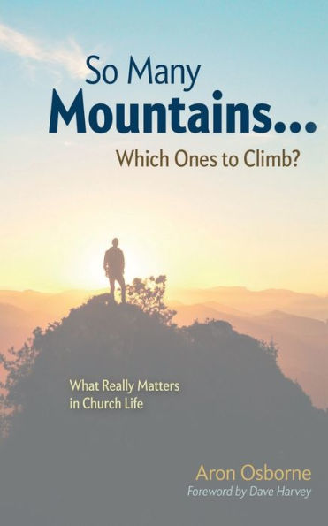 So Many Mountains... Which Ones to Climb?: What Really Matters Church Life