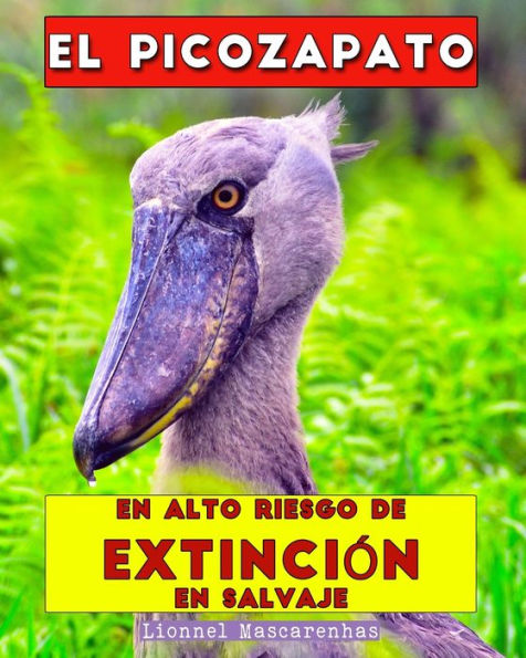 El picozapato: En alto riesgo de extinciï¿½n en salvaje