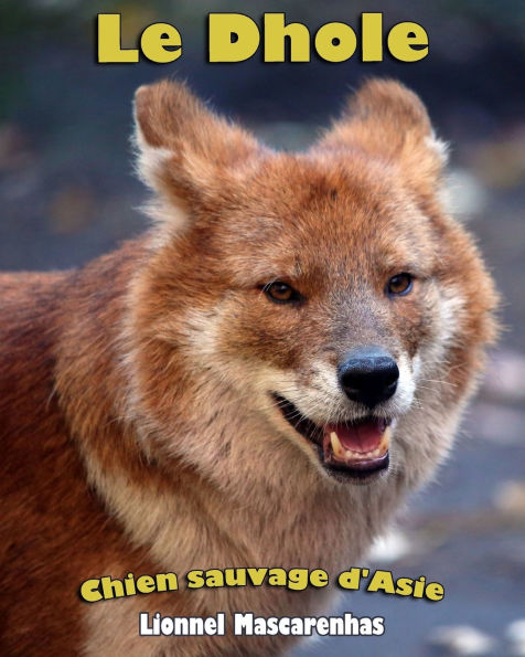Le Dhole: Chien sauvage d'Asie