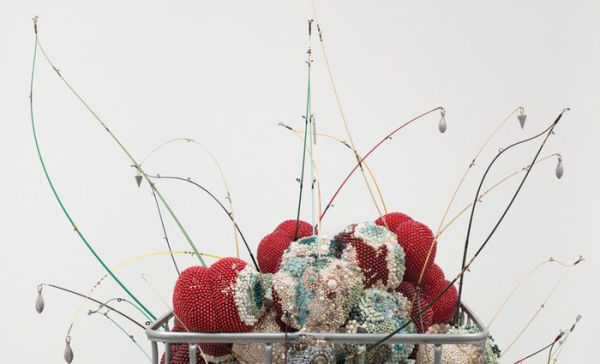 Kathleen Ryan: Daisy Chain