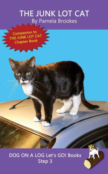 The Junk Lot Cat: Sound-Out Phonics Books Help Developing Readers, including Students with Dyslexia, Learn to Read (Step 3 a Systematic Series of Decodable Books)