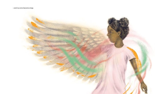 The Class with Wings: A Picture Book