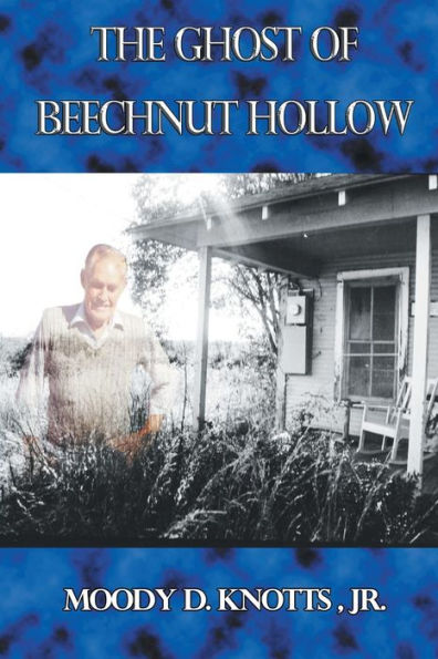 The Ghost of Beechnut Hollow: Book Two of The Miracle of the Mountain Series