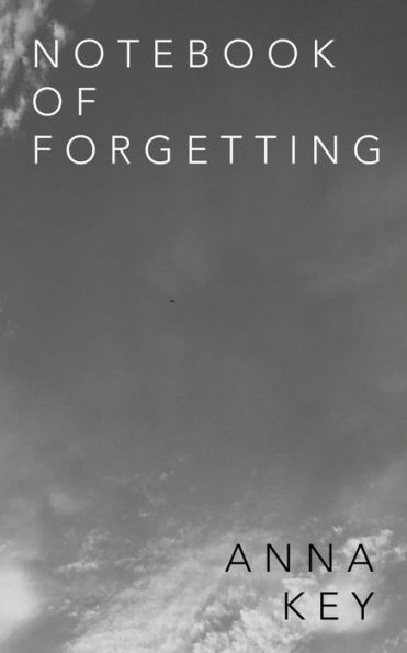 Notebook of Forgetting